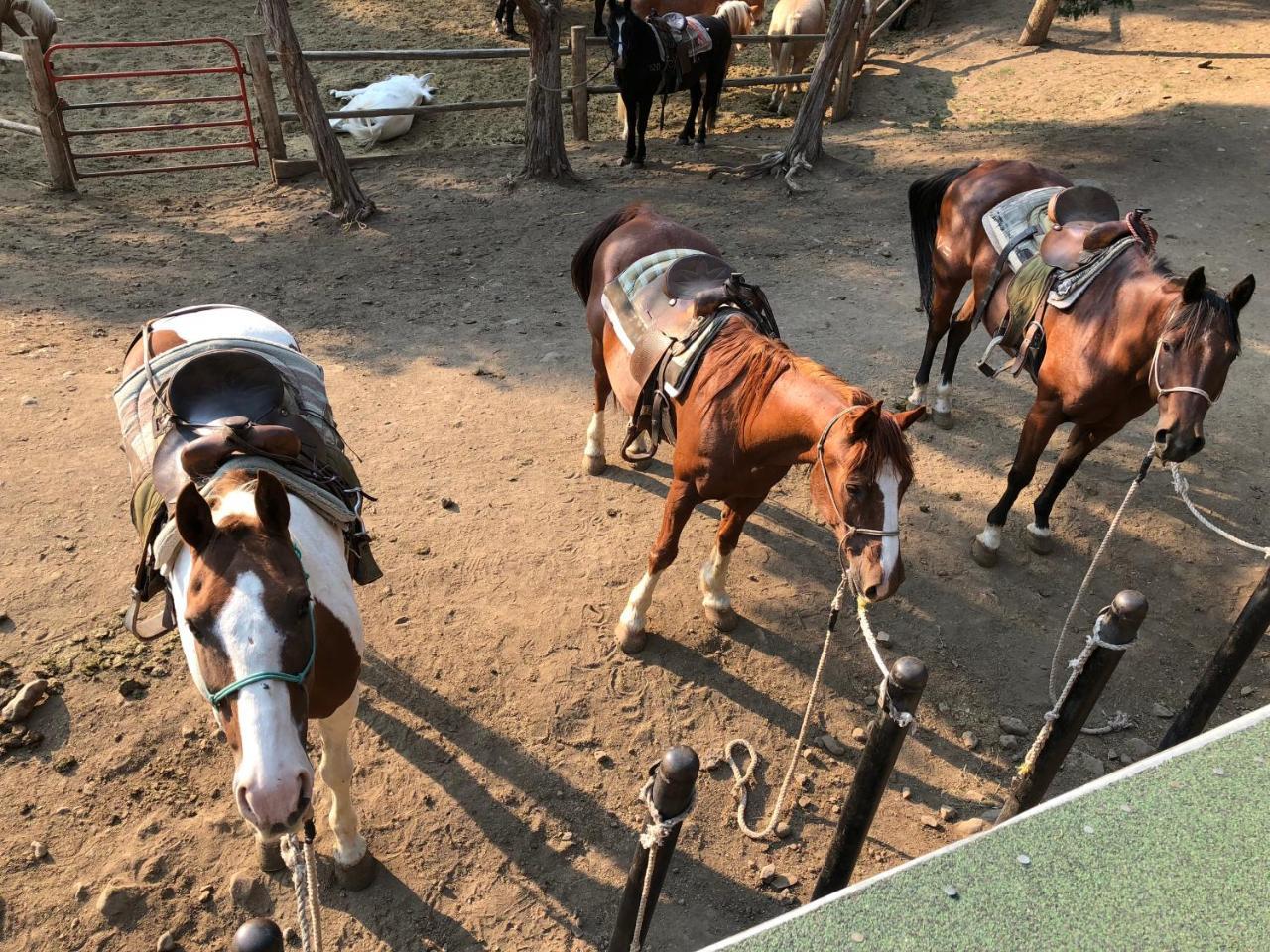 Bill Cody Ranch Hotel Luaran gambar