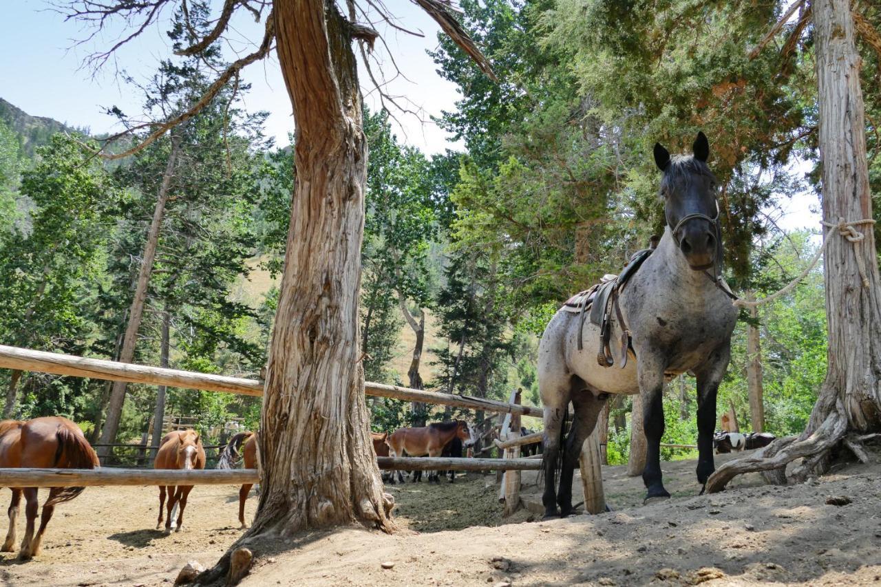 Bill Cody Ranch Hotel Luaran gambar