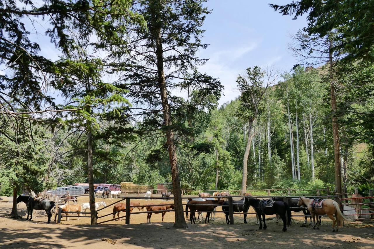 Bill Cody Ranch Hotel Luaran gambar