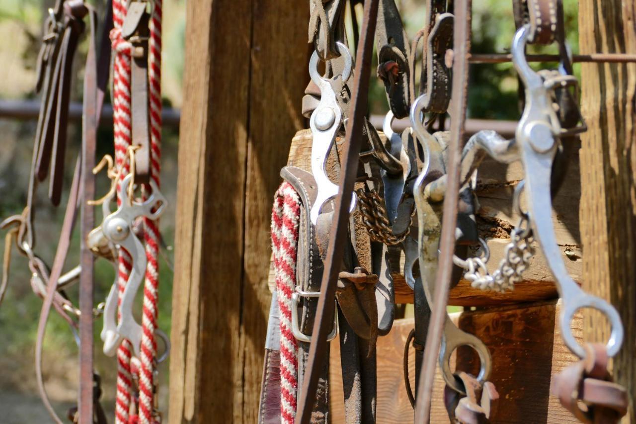 Bill Cody Ranch Hotel Luaran gambar
